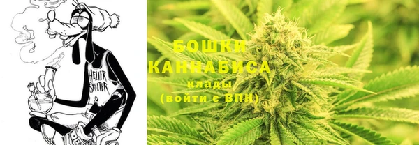 молекула духа Красноперекопск