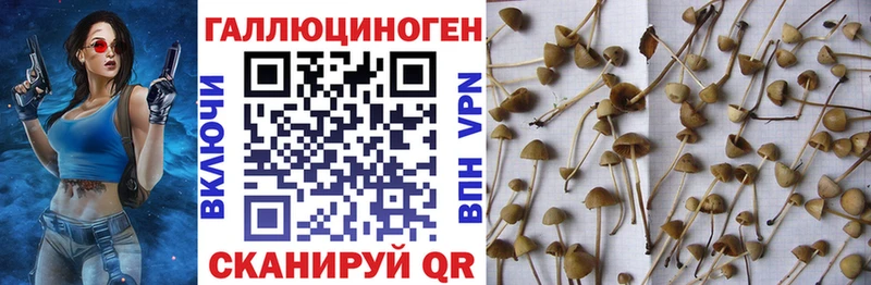 MEGA как войти  Мамадыш  Галлюциногенные грибы ЛСД 
