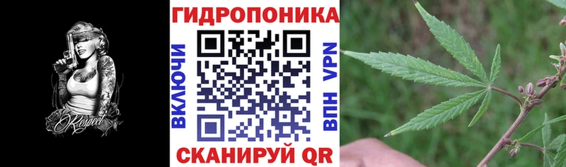 Канабис OG Kush  Мамадыш 
